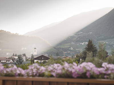 Bild 31 aus  Hotel im Tiefenbrunn