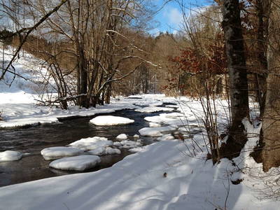 Bild 27 aus  Ferienhof Schmauß