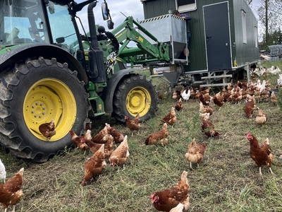 Bild 23 aus  Landkulturhof Glücksbringer