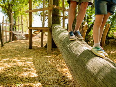 Bild 24 aus  Hubertushof Eifel - Ferienhof