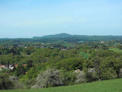 Bild 12 aus  Marienhof