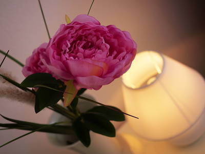 Bild 7 aus  Villa Schwarzwaldblick