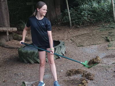 Bild 15 aus  Arabian Harmony