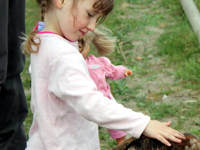 Bild 19 aus  Biohof Grafel - ein Ort, der verbindet