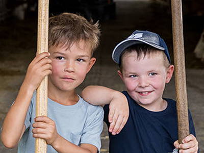 Bild 28 aus  An Webers Stoag