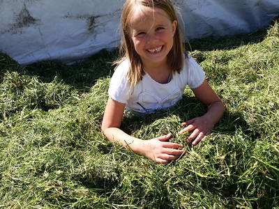 Bild 27 aus  Schellen Hof