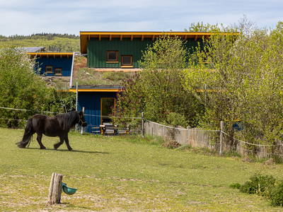 Bild 17 aus  Ferienhaus Schöneweiß