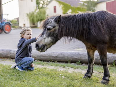 Bild 19 aus  Ferienbauernhof Ohr