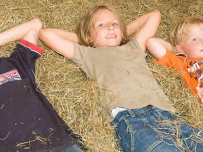 Bild 16 aus  Ferienhof Bauer