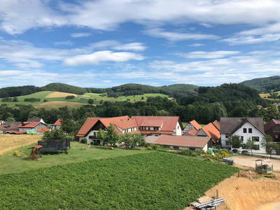 Bild 40 aus  Ferienhof Dingeldey