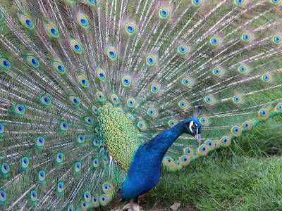 Bild 8 aus  Gut Sommereichen