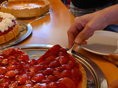 Bild 27 aus  Steigerwaldhof Krafft