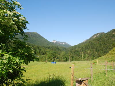 Bild 46 aus  Masererhof - Ferienbauernhof im Chiemgau