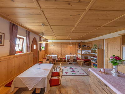 Bild 21 aus  Appartement Birkenhof - Urlaub mit Pferden und Alpakas