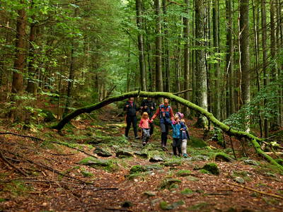 Bild 44 aus  Arber Lofts