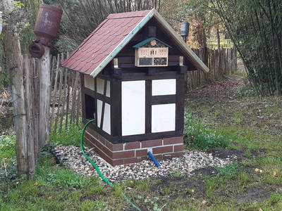 Bild 45 aus  Erlenhof im Oderbruch - Rund ums Schaf