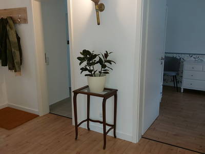 Bild 55 aus  Ferienvermietung Lange,  Grömitz/Brenkenhagen