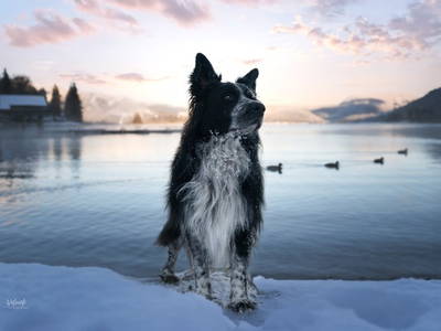 Bild 7 aus  Ferienwohnungen Wunschzeit  Bayern