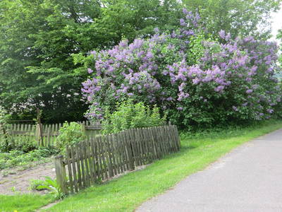 Bild 9 aus  Imkershof