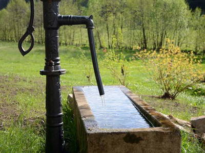 Bild 12 aus  Hof Hagdorn