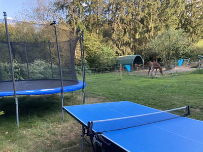 Bild 17 aus  Arabian Harmony