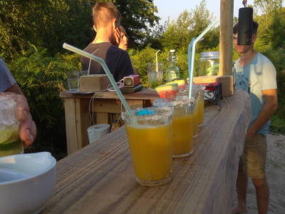 Cocktaiparty an unseren Teichen