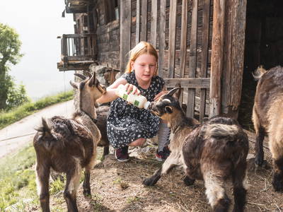 Bild 11 aus  Gurschlhof