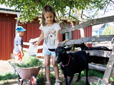Bild 16 aus  Feriendorf Nehmeier
