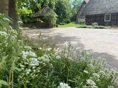Bild 10 aus  Ferienhof Klaucke