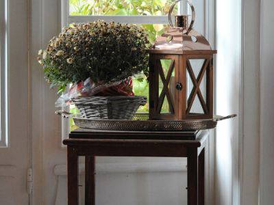 Bild 42 aus  Gutshaus Gottin