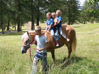 Bild 22 aus  Wietererhof