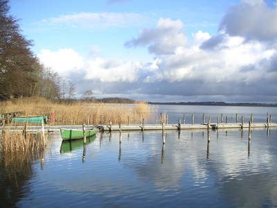 Der Hemmelsdorfer See mit seinem reichen Fischbestand ist Heimat für verschiedenste Vogelarten