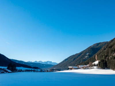 Bild 12 aus  Stegerhof