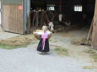 Bild 12 aus  Zacherlhof