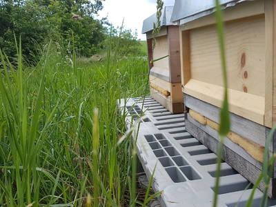 Bild 34 aus  Schellen Hof