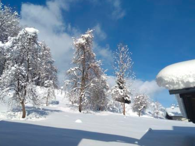 Bild 25 aus  Leuhaus