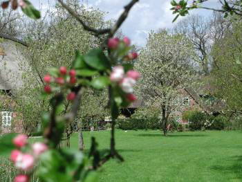 Bild 5 aus  Hof Höpen