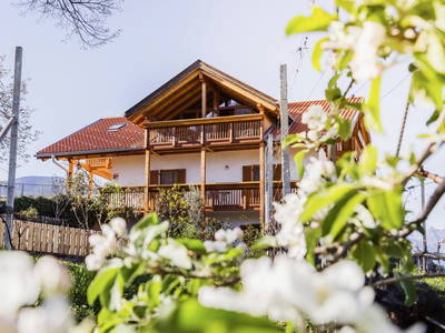 Bild 8 aus  Stettnerhof