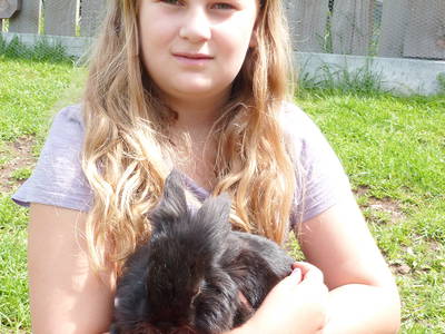 Bild 13 aus  Farnbauernhof