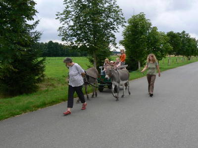 Bild 14 aus  Hof Gerina