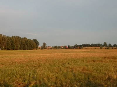 Bild 12 aus  Ferienhaus Landlust