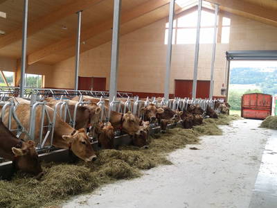 Bild 20 aus  Ferienhof Soyer