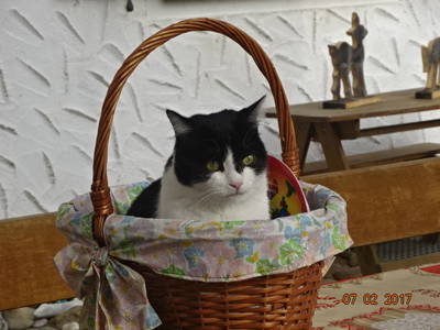 Bild 33 aus  Mayerhof