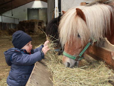 Bild 4 aus  Erlebnisbauernhof Achatz