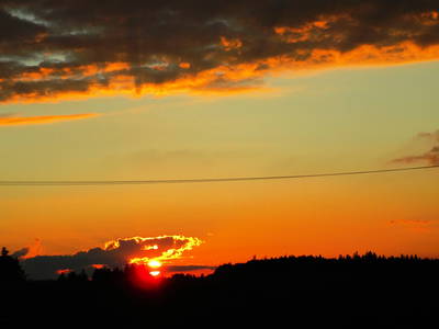 Bild 16 aus  Franzen Hof  Koch