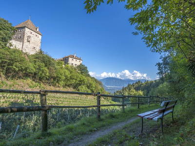 Bild 5 aus  Residence Alpina