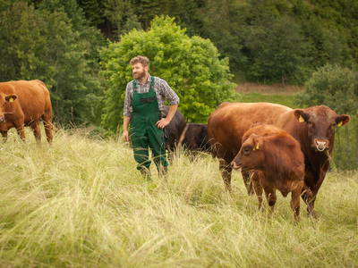 Hilserhof Bauer Bernd mit Angus Herde