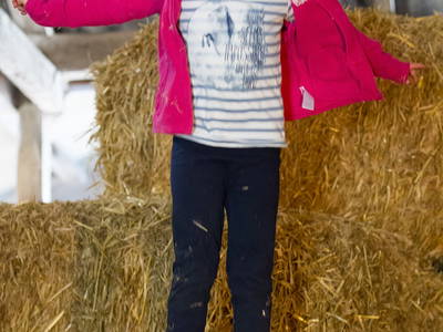 Bild 13 aus  Hof Letsch