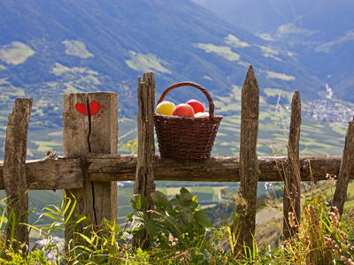 Bild 7 aus  Bioland Bauernhof Hausergut