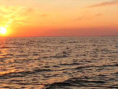 Bild 24 aus  An der See.de